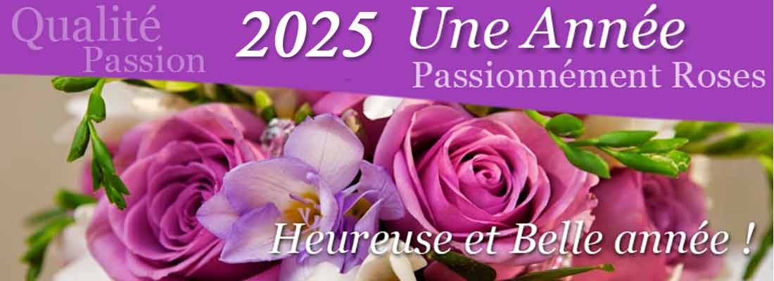 meilleurs voeux 2025